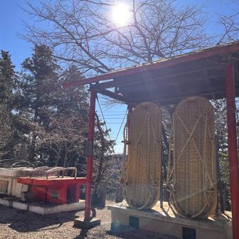 子の権現は足腰守護の神仏とのこと。
ただいま絶賛足腰トレーニング中ですし、これはあやかりたい！