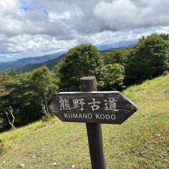 ここ熊野古道なんですね