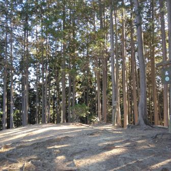 高畑山、
このルートは結構ベンチあり、休憩の誘惑に負けそう