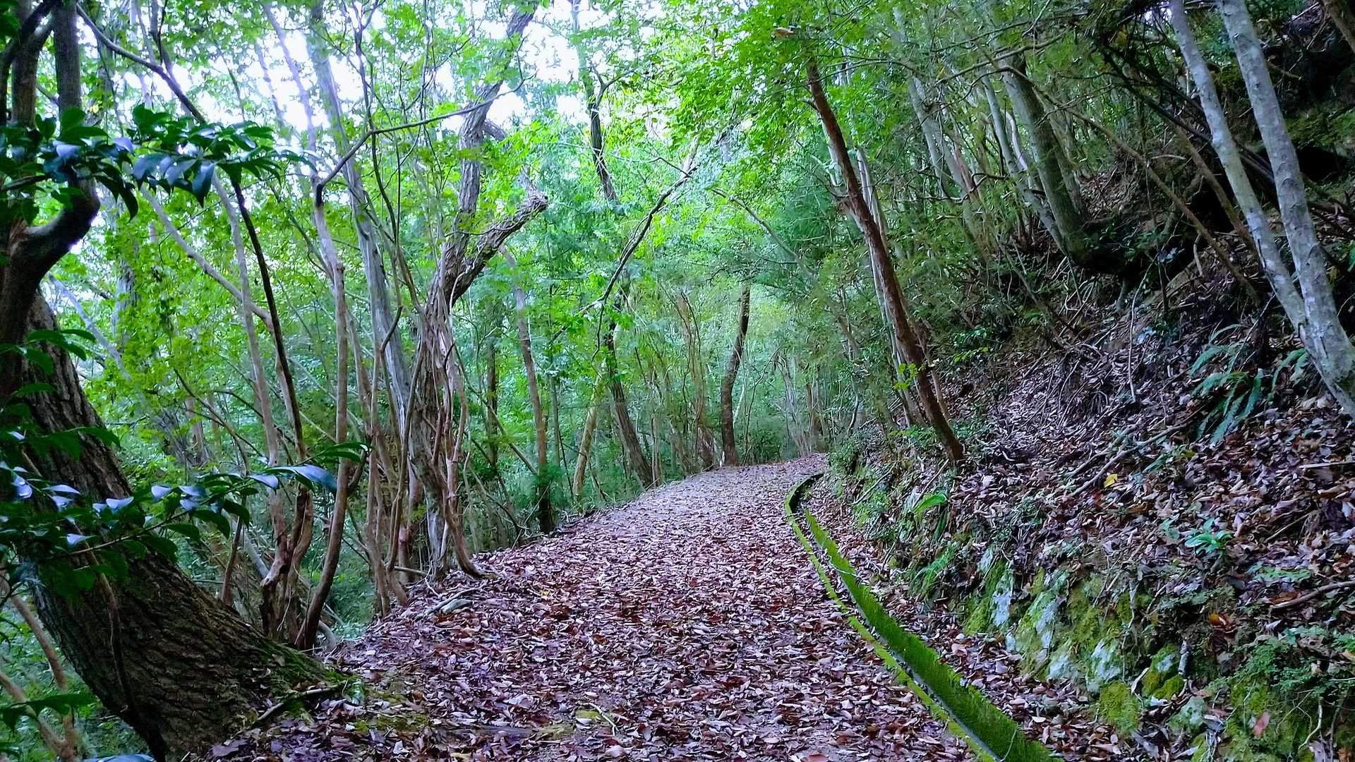 適当に周回して下山します🤗歩きやすい山です😁