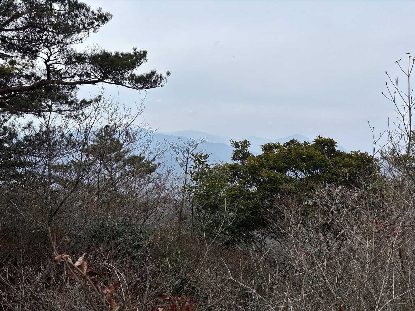 祖母山、傾、行縢は？残念😢全く見えない