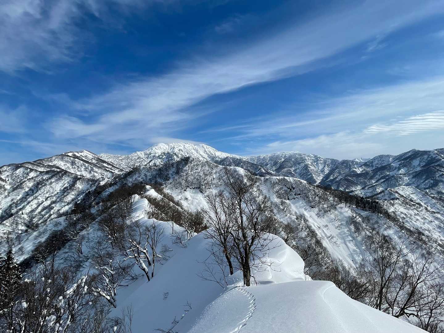 山頂から改めて猿倉山と八海山。
猿倉山に行けそうだが、山頂直下は急登。
下山に難儀しそうだ🤔