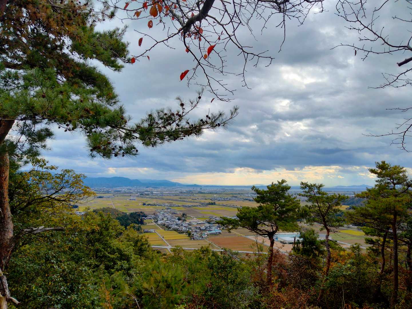 小谷城跡-小谷山-福寿丸跡-山崎丸跡 周回コースの写真