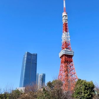 🗼333mの東京タワーと日本一高い麻布台ヒルズ森J Pタワー330mの共演🥳