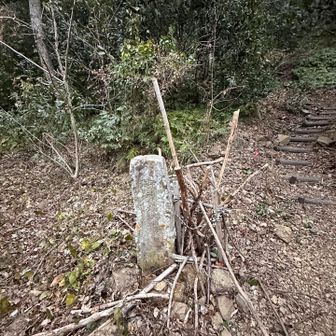 登山口に杖ありました
暗くて気づかなかった