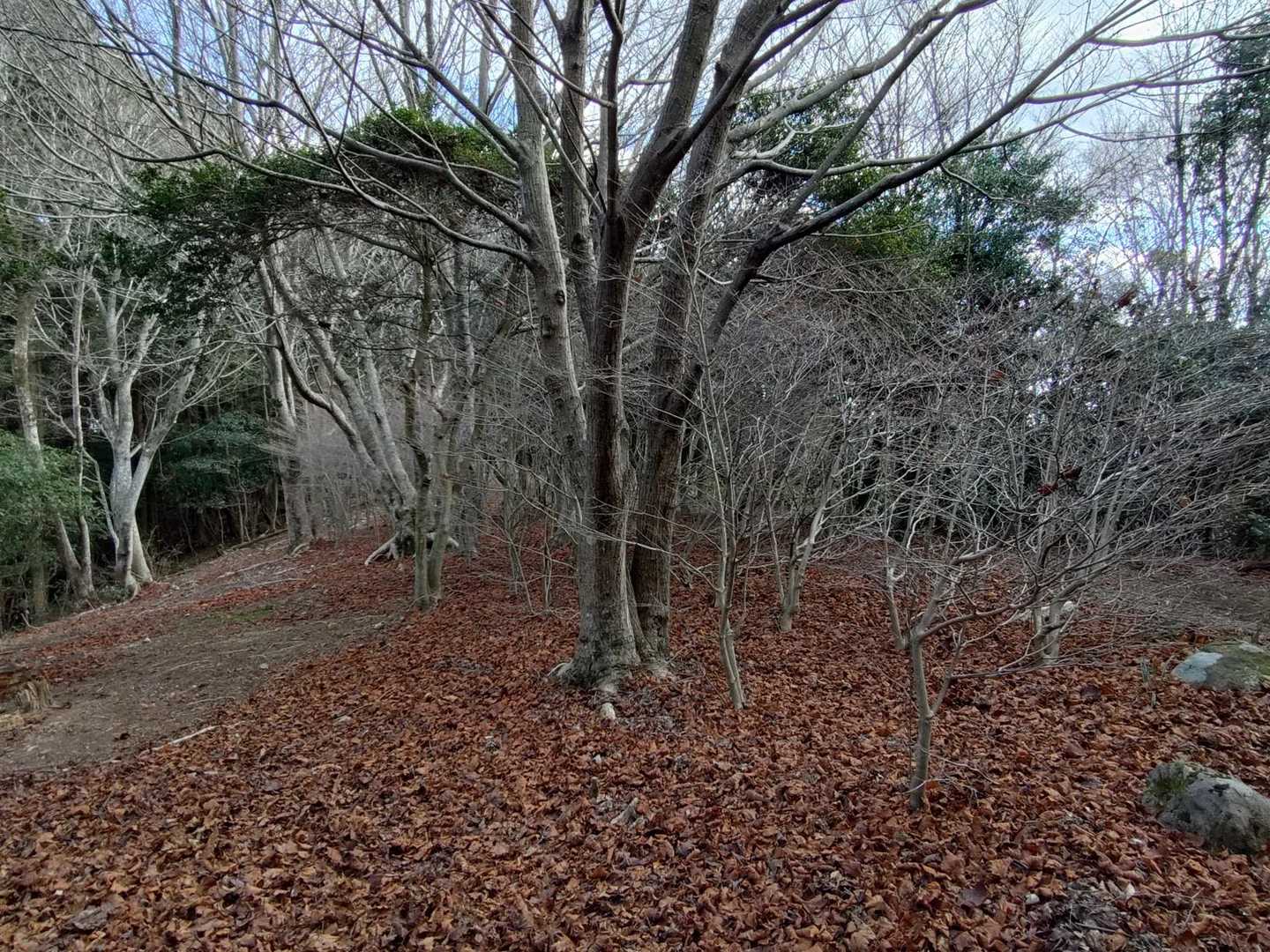 御許山-雲ヶ岳 周回コースの写真