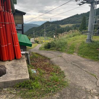 1時間車道を歩いてキャンプ場手前まで戻る。トライしようとした道の出口はここ。行けたのか？