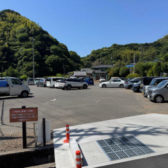 平日でもこの混み様！