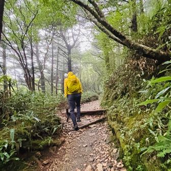 整備された登山道👍