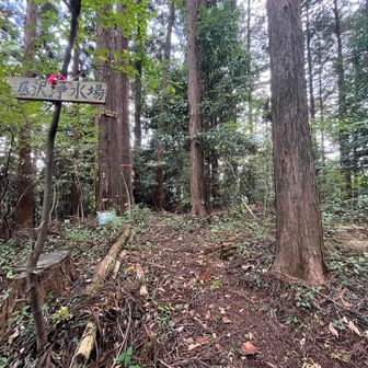 山王山はこんな感じ。
若干荒れてるけどめっちゃ静か😘
底沢峠から相模湖方面へ下りるコースは初めて歩いたけど、ちょっと不人気コース的な雰囲気で、落ち葉や折れ枝が登山道にずっと散乱してた。