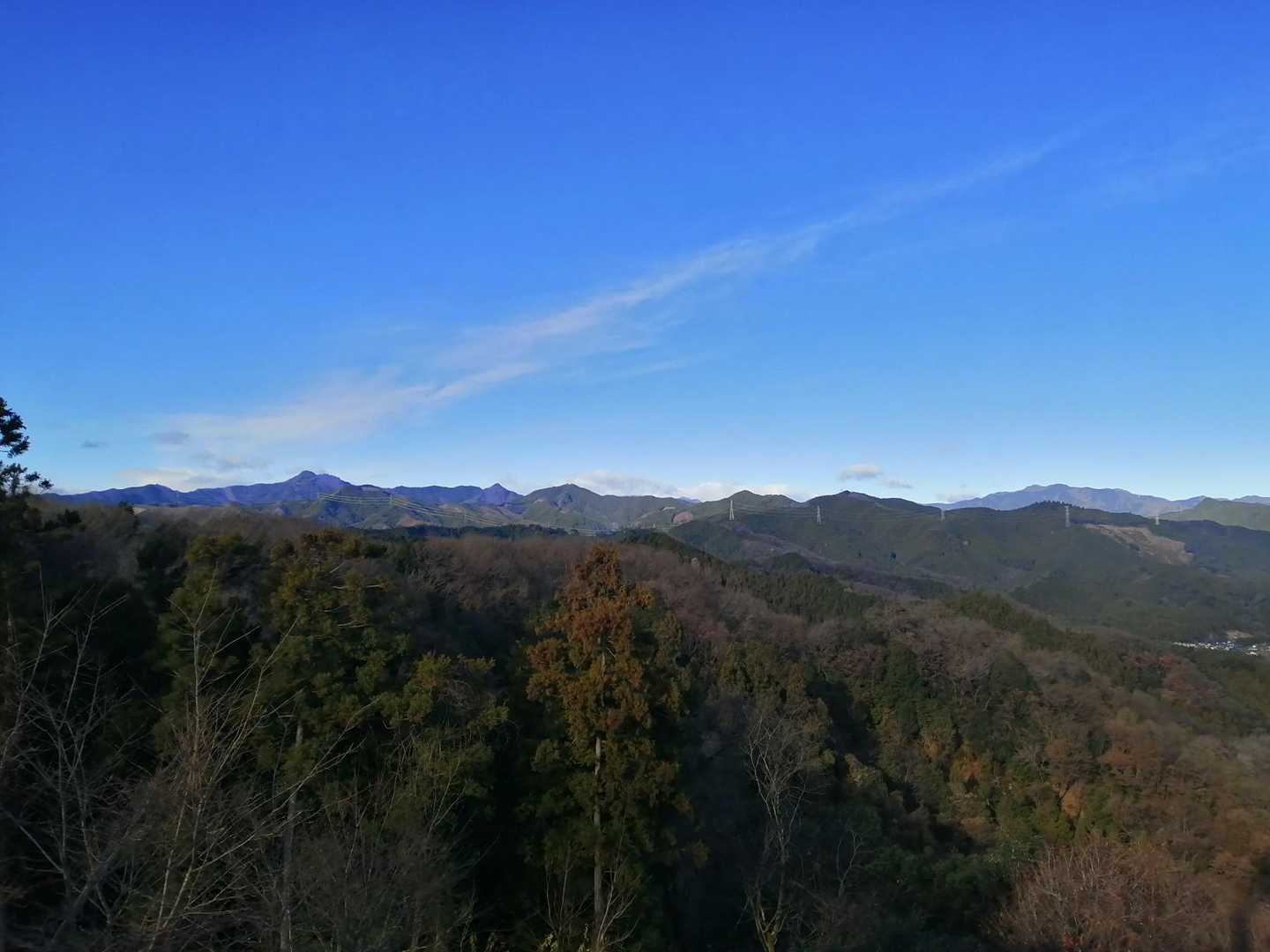 ぽこぽこっとしたお山は、大岳山だと最近覚えました。