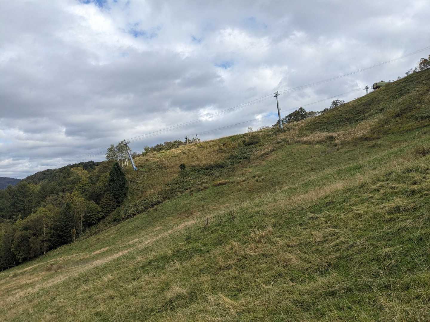 登山道は向こう側らしい