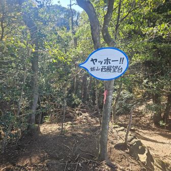 少し先に西展望台。山頂から特に案内板はないので、赤テープを目印に進みますが、誰も気付かない様子