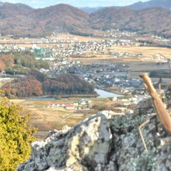 
　いつから いたんですか…  (°¥°)⁇
　冬でも 生きてるんですね…
　
　
　山頂カマキリも まったり
　
　しばらく 同じ方向を 眺めていると
　なんとなく 
　虫にも 親近感を覚えてしまう ヒト

