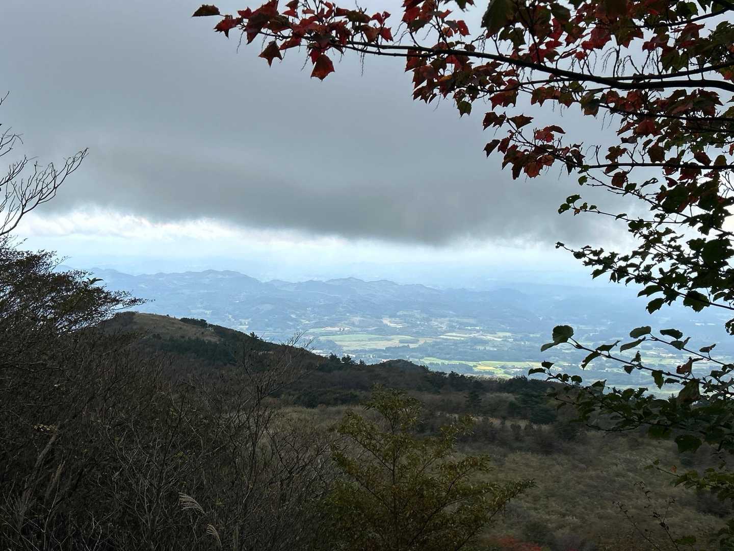 黒い雲が
バス停に着いたら降り出して
一時間早いバスに乗せてもらえた