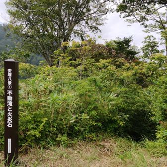 無事ここまで🚗で来ることができました😌