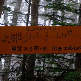 辻山の案内板。
素通りするにはもったいない山です☺️