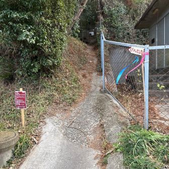 ここから階段祭り