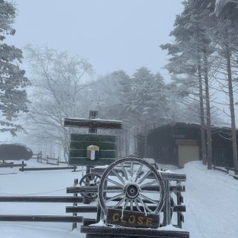  月曜日はお休みなんですね