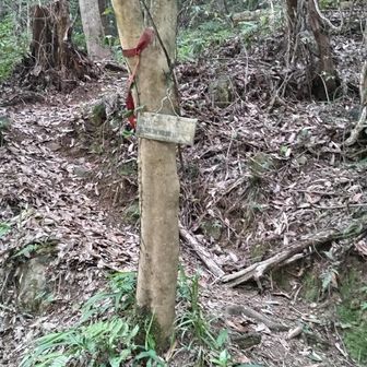 ここ、見逃してしまった😰
ここから登ります💪