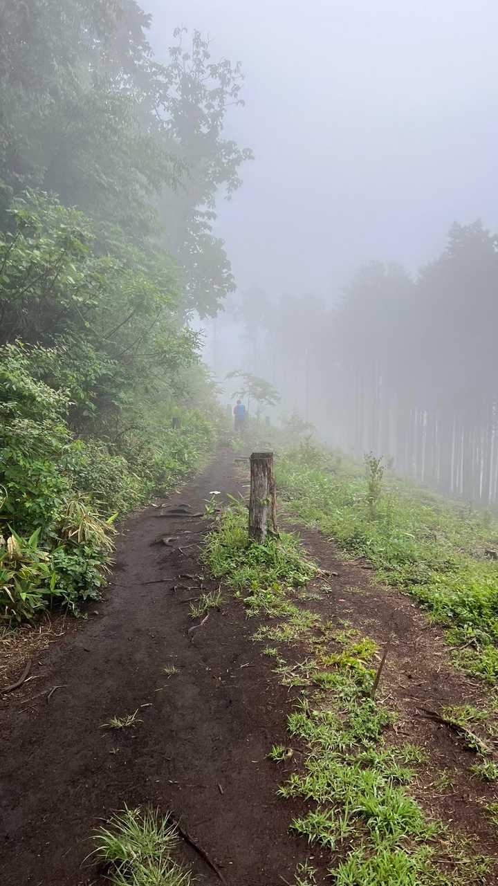 陣馬山・景信山縦走 の写真 11