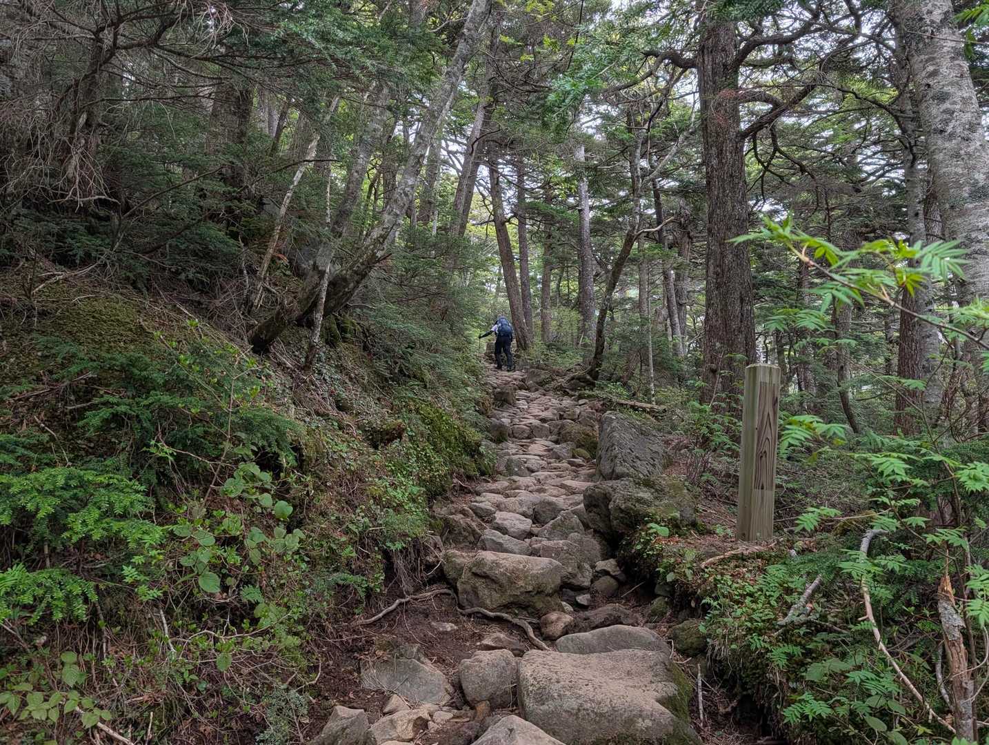 飛騨頂上往復 | 神秘的な青い水をたたえた三ノ池を見下ろす御嶽山の支峰への写真