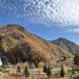 向かいの山の紅葉もキレイです😍