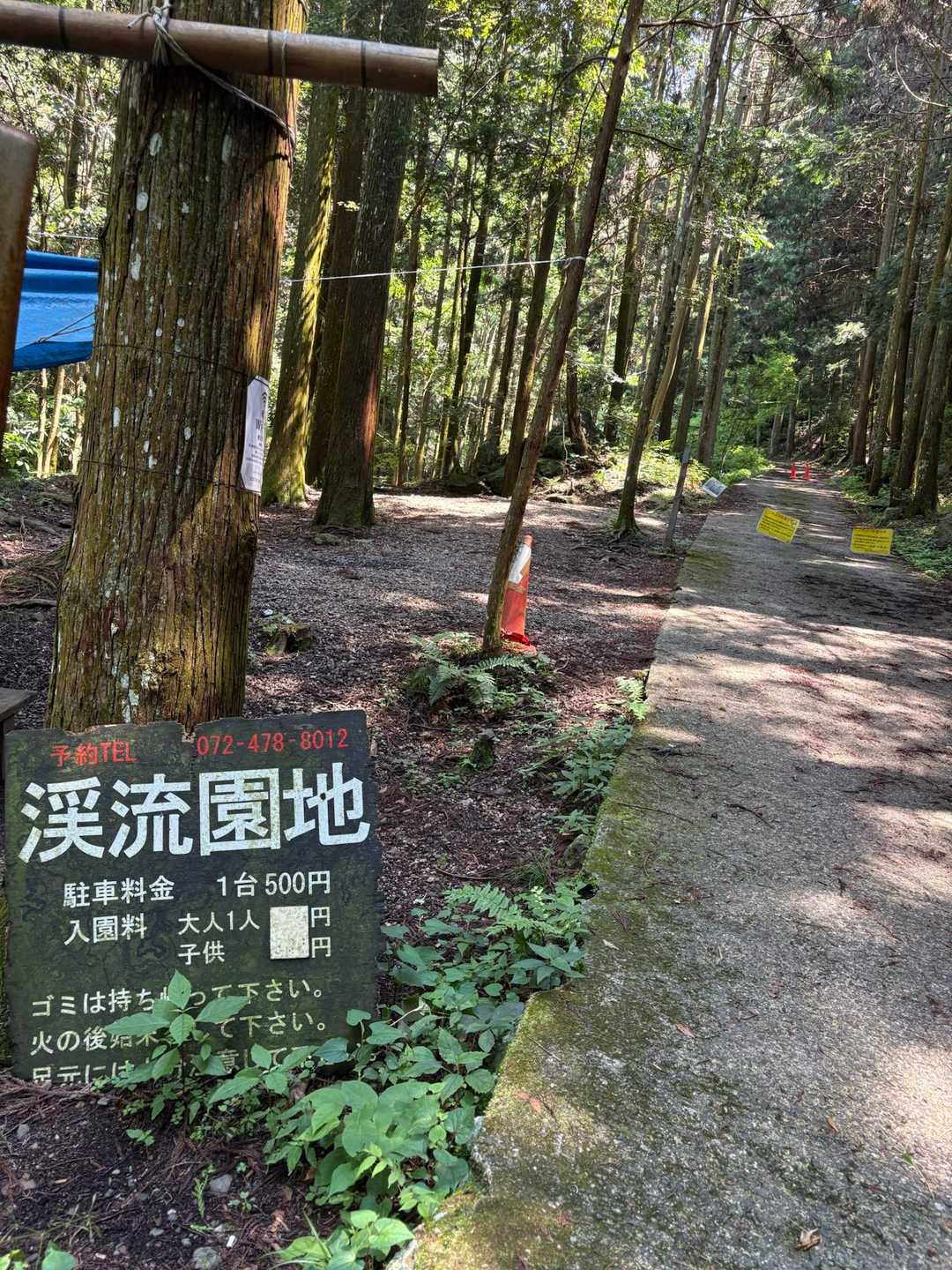 渓流園地⤵️