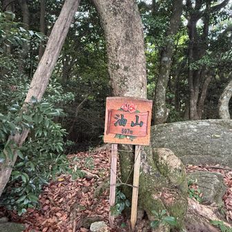 新しい標識Ⓜ️