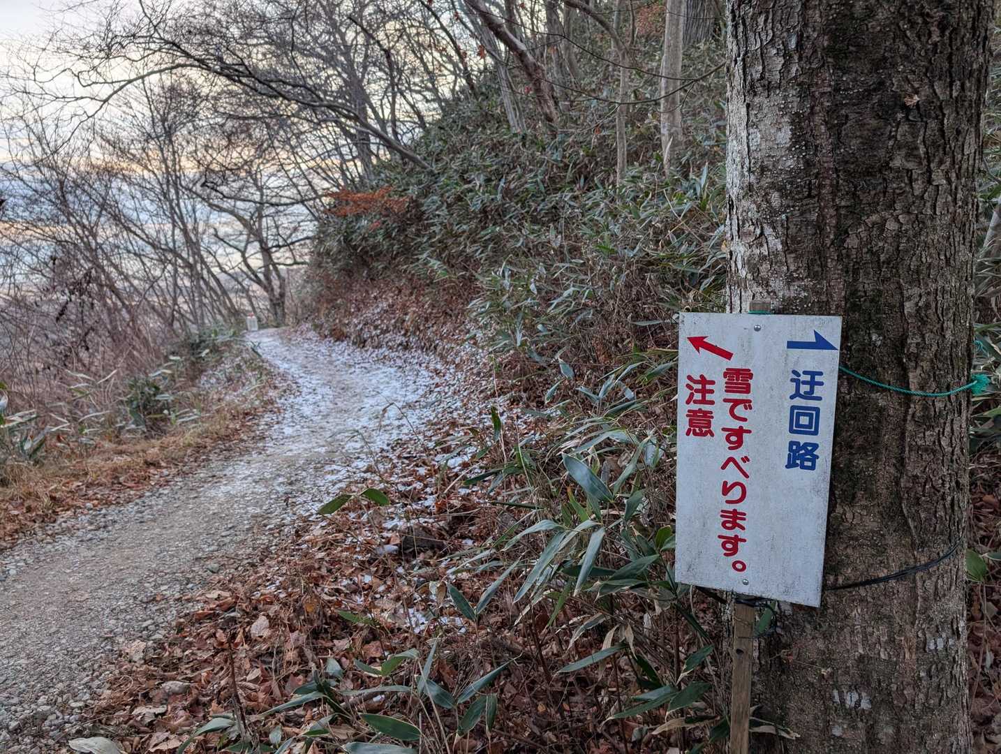 下りは樹海コースへ
日陰に薄っすらと雪が