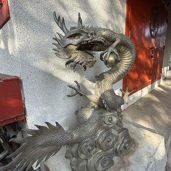 龍🐉をなでなで。