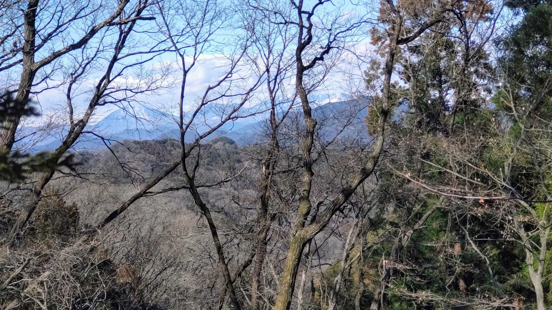 少し先に進めば木々の間からチラチラ見えます