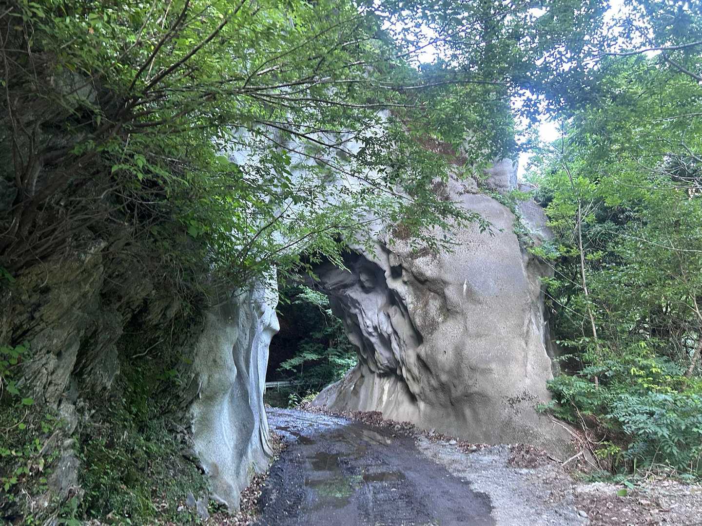 筋肉痛すごいけど🚲に助けられる〜
久々長丁場、無事下山に感謝☺️