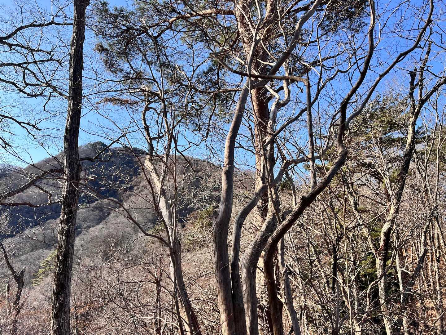 あれが剣ヶ峰かな👀