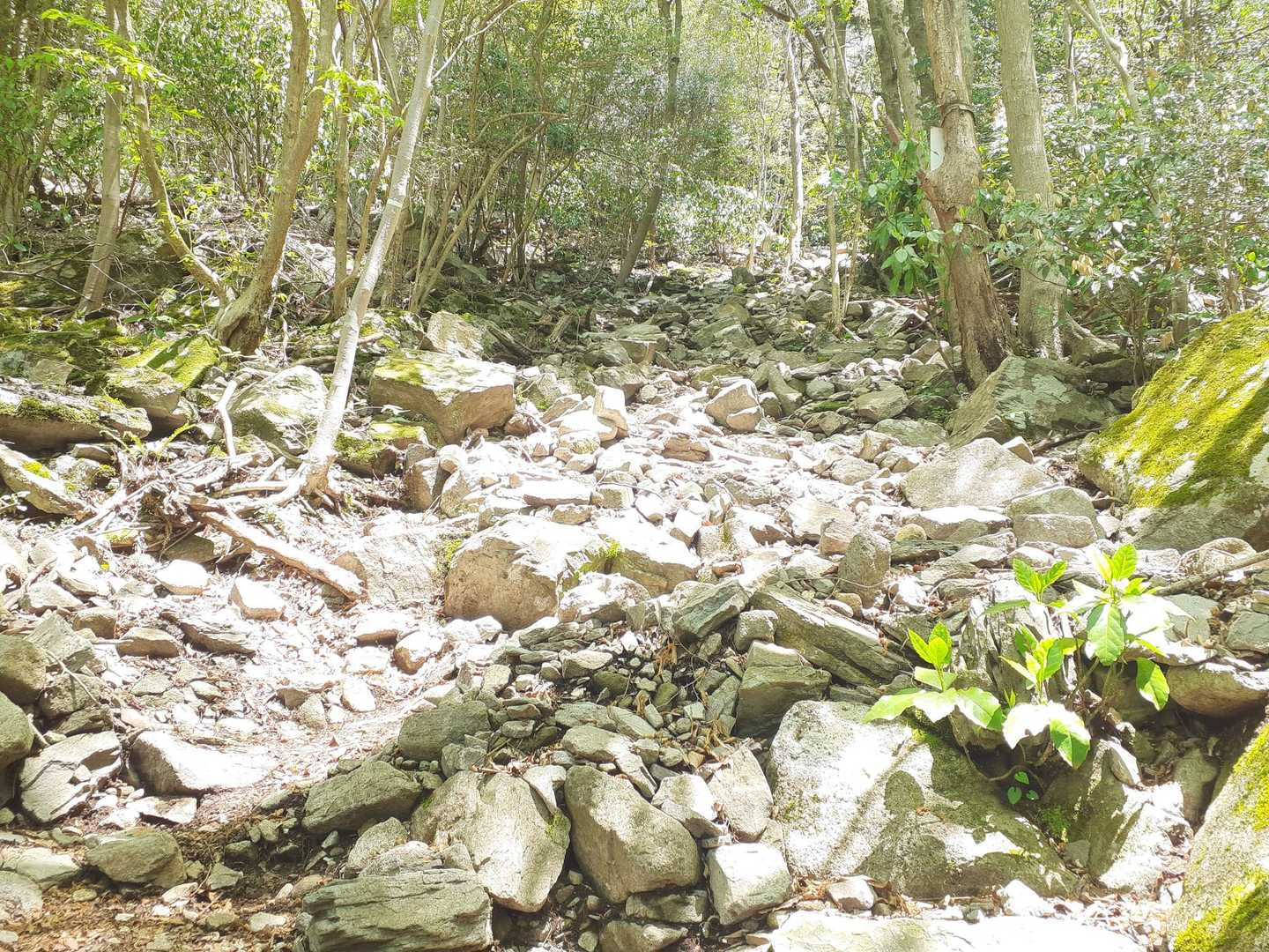 黒木登山口から経ヶ岳まではガレ場の急登です。