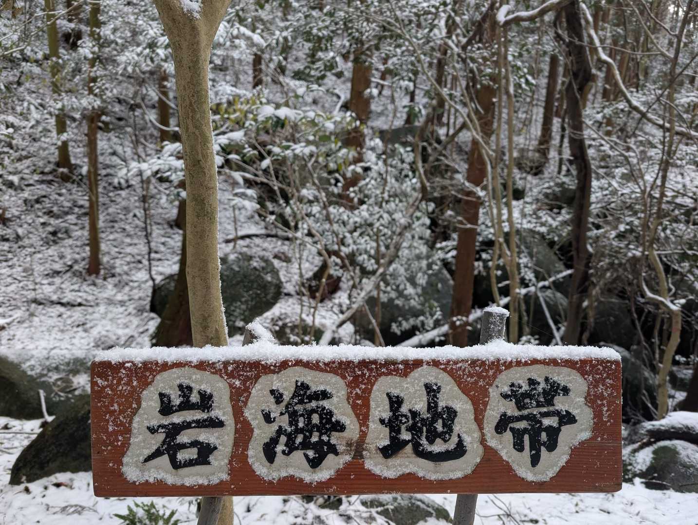 岩海地帯