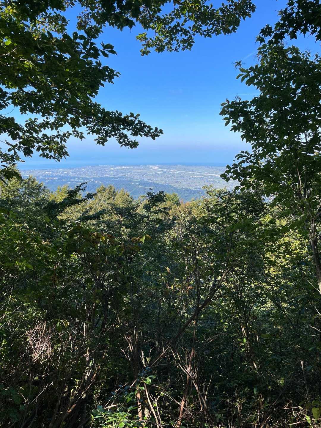富山湾も美しい
