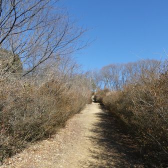 桜、ツツジ、紅葉の時期は賑わいそうです