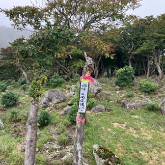 いざマイナールートへ🚶‍♀️
