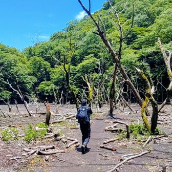 ソババッケ！
いつもの異世界空間はどこへやら(-_-;)