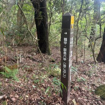 帰りは油こぶしで下山⛰️