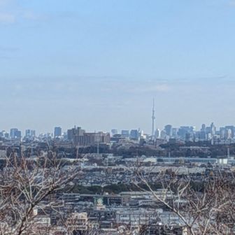 ズーム。これならスカイツリー見えますよね？