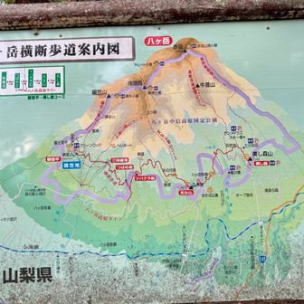 おさかなサーキットでした…
なかなか長いコース