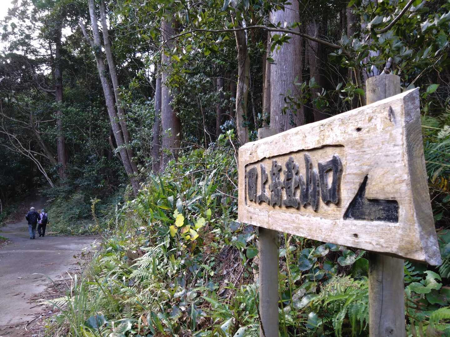 田上岳🙄だよね…
この先に駐車場はあるらしい🚗
でも歩きま〜す🚶💨
進む勇気が無いだけ〜😰
道路脇に駐車🚗