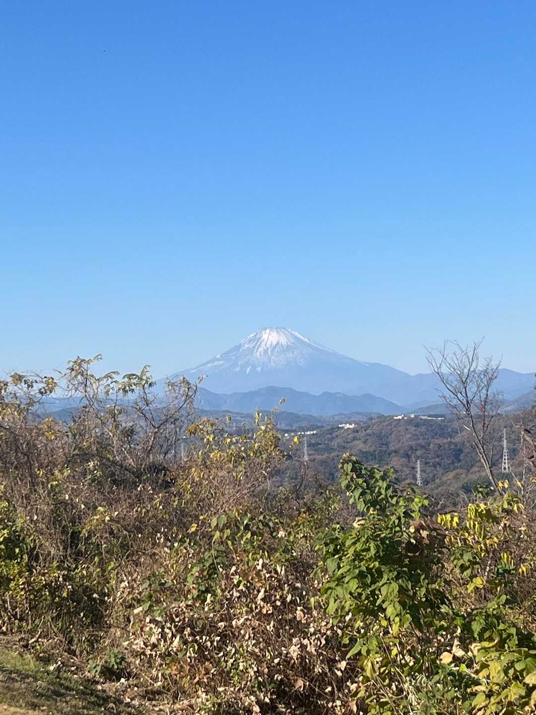 浅間山-高麗山 往復コースの写真