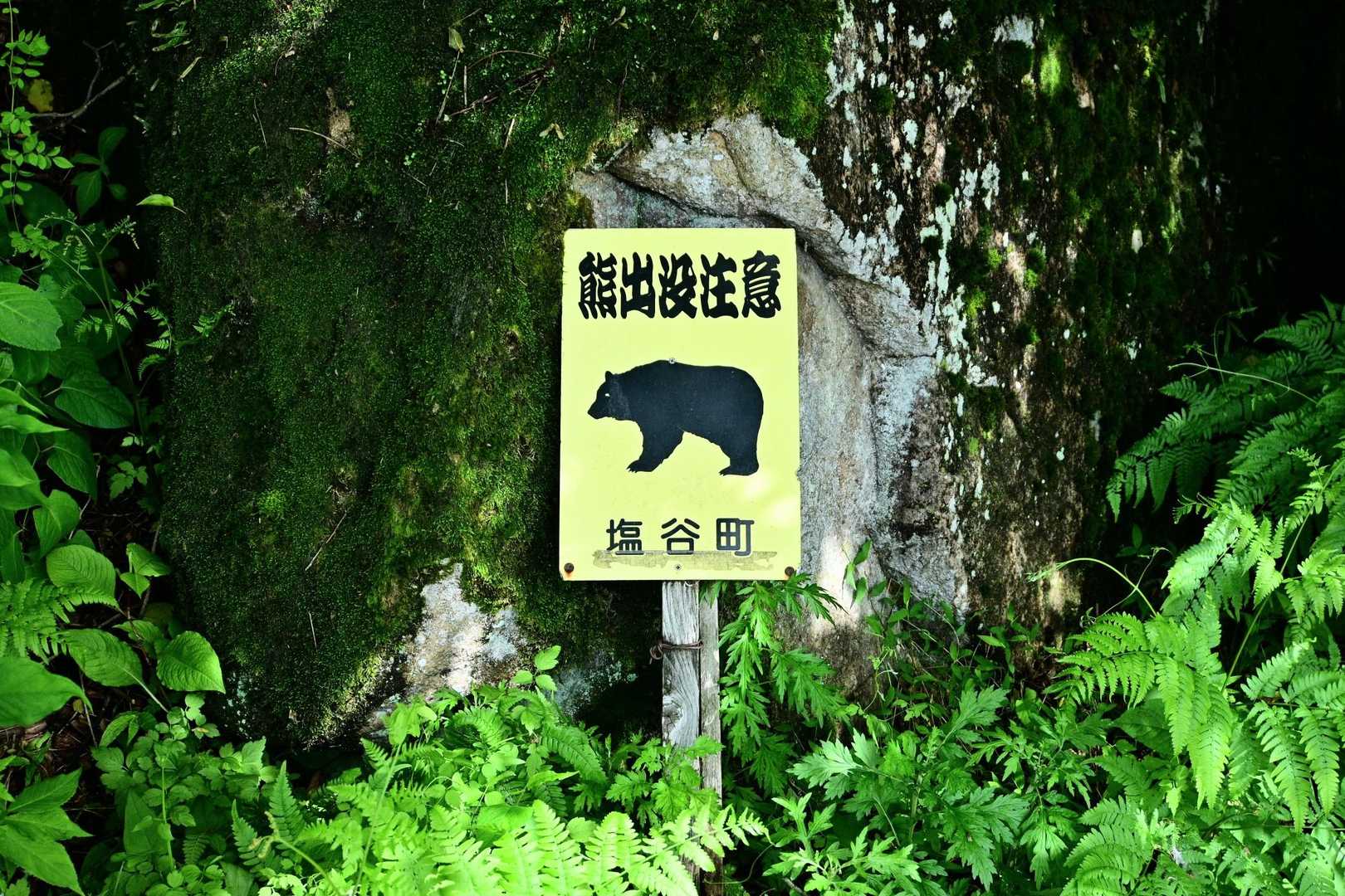 熊に出会わなかったです