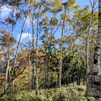 6合目、こちら前ピセナイ山！
あちらにピセナイ山！
