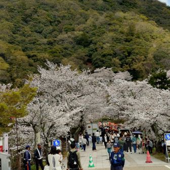 屋台が出て賑わっています