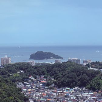 衣笠山展望台6
猿島
大楠山の展望の無さと暑さと草ぼうぼうのしんどさでむやみに写真を撮ってしまった