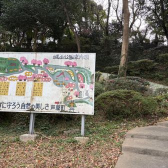 どんどん身体にガタがくるので、日々の筋トレの他に水泳を取り入れたり…